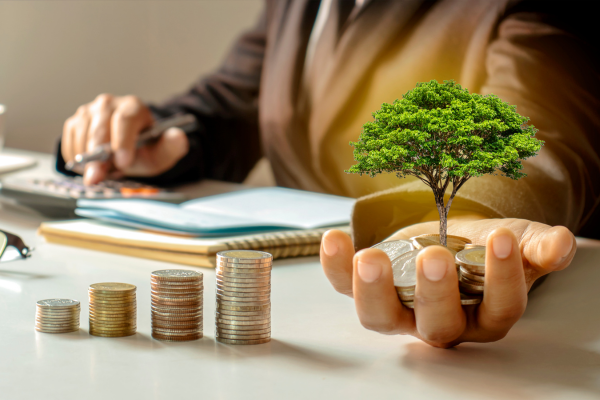 Fundo Multimercado: Uma Oportunidade para Diversificar Seus investimento em 2024