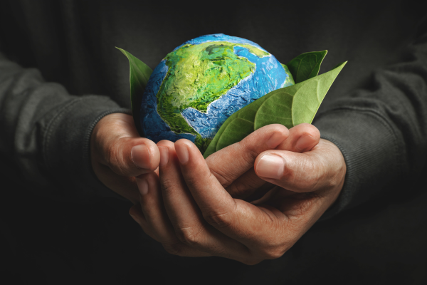 O que é Desenvolvimento Sustentável